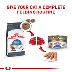 royal-canin-weight-care-adult-cat-food-6-lb-bag-feline-care-nutrition-weight-management