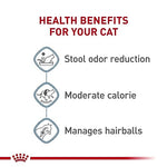 royal-canin-feline-health-nutrition-indoor-adult-dry-cat-food-7-lb-bag