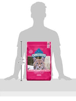 Blue Buffalo Wilderness Natural High Protein Grain Free Dry Cat Food for Adult Cats Salmon 11-lb Bag