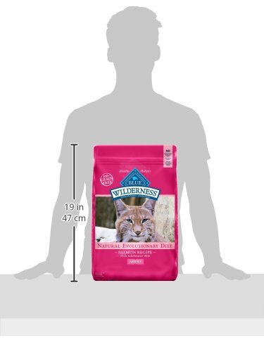 Blue Buffalo Wilderness Natural High Protein Grain Free Dry Cat Food for Adult Cats Salmon 11-lb Bag