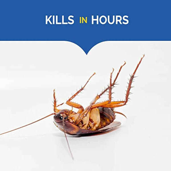 Hot Shot Ultra Liquid Roach Bait 6 Count by Spectrum Brands, kills roaches in 24 hours, 1 pack