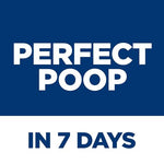 Hills Science Diet Perfect Digestion Adult 1-6 Dry Cat Food, 13 lb Bag, Chicken, Brown Rice, Whole Oats, Digestive Support