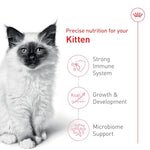 royal-canin-feline-health-nutrition-kitten-dry-cat-food-7-lb-bag