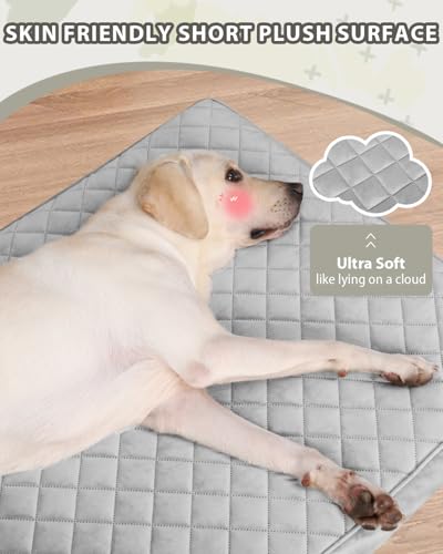 Orthopedic large dog bed with waterproof cover and non-slip base, 41x27 inch light gray