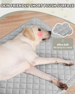 Orthopedic large dog bed with waterproof cover and non-slip base, 41x27 inch light gray