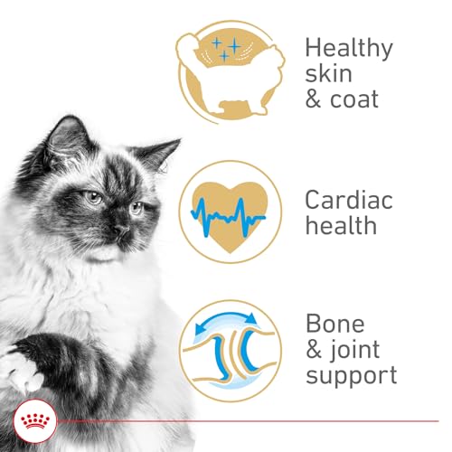 royal-canin-feline-breed-nutrition-ragdoll-adult-cat-food-7-lb-bag-formulated-for-purebred-ragdoll-cats