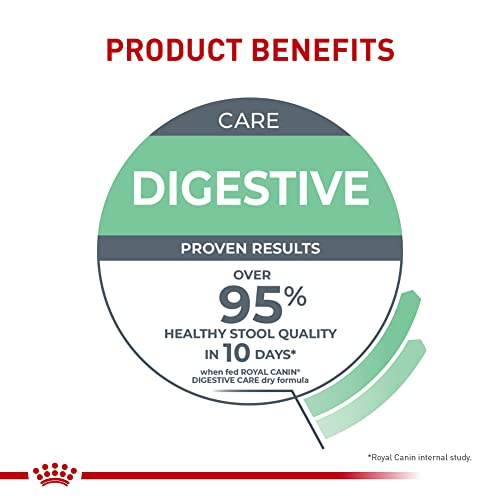 Royal Canin Feline Care Nutrition Digestive Care Adult Dry Cat Food, 6 lb Bag for Sensitive Stomachs and Healthy Digestion