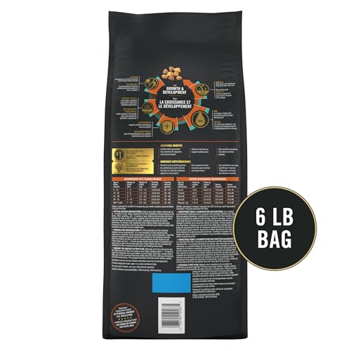 Purina Pro Plan Kitten Dry Food Chicken and Rice Formula Shredded Blend, High Protein, 6 lb Bag