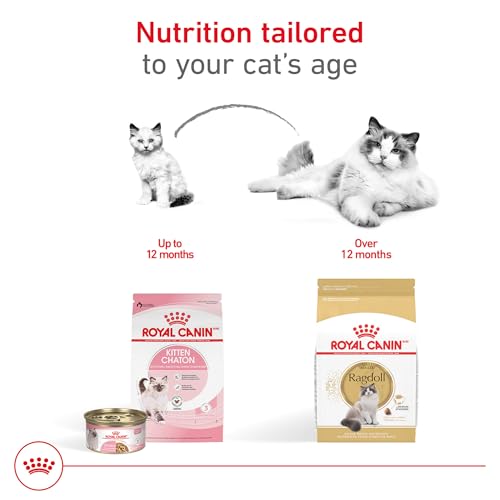 royal-canin-feline-breed-nutrition-ragdoll-adult-cat-food-7-lb-bag-formulated-for-purebred-ragdoll-cats