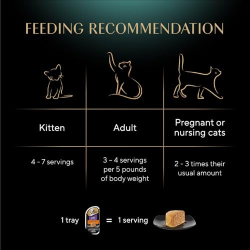 sheba perfect portions wet cat food pate savory chicken entree and roasted turkey entree 12 count 24 servings