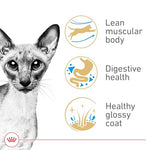 royal-canin-siamese-adult-cats-dry-food-6-lb-bag