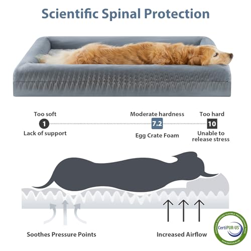Wnpethome xl extra large dog bed, washable dog couch with removable waterproof cover, orthopedic pet sofa bed with bolster sides for sleeping