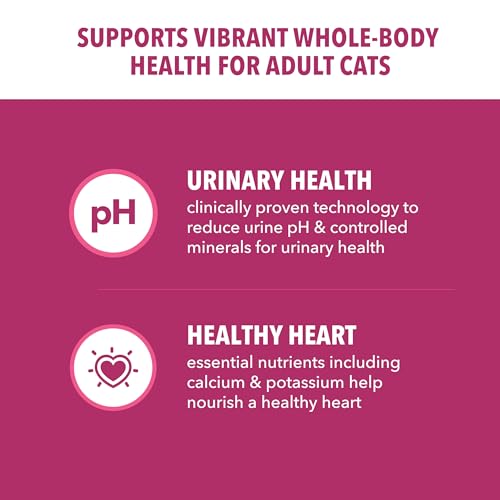 iams proactive health adult urinary tract dry cat food with chicken 22lb bag