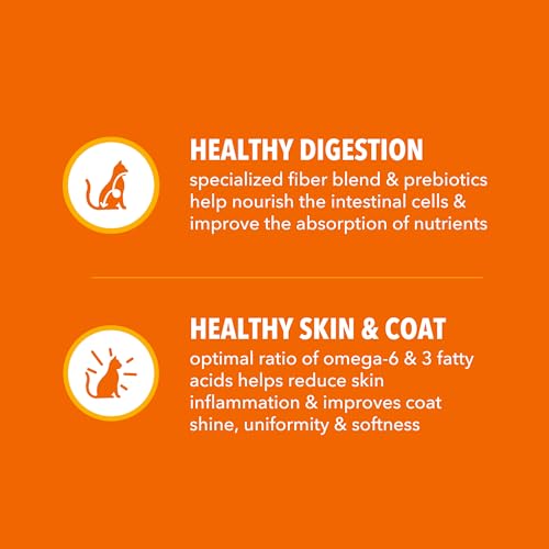 iams proactive health adult healthy dry cat food with chicken, 22 lb bag, veterinarian recommended