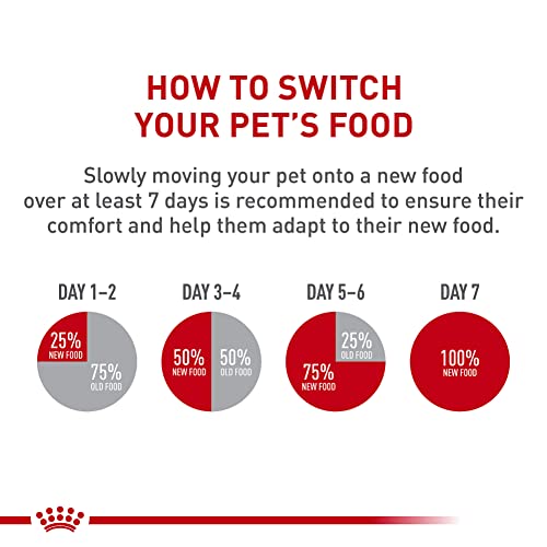 royal-canin-feline-breed-nutrition-ragdoll-adult-cat-food-7-lb-bag-formulated-for-purebred-ragdoll-cats