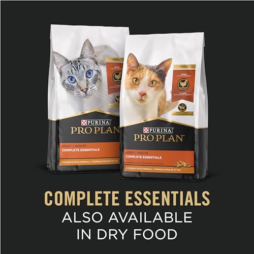 purina pro plan high protein cat food complete essentials wet gravy chicken and rice entree