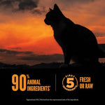 orijen wild reserve dry cat food 6.5lb bag high protein cat kibble with chicken breast morsels