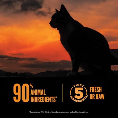 orijen wild reserve dry cat food 6.5lb bag high protein cat kibble with chicken breast morsels