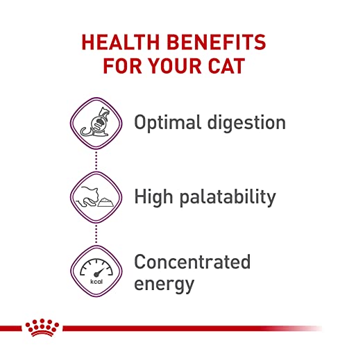 Royal Canin sensitive digestion cat food for adult cats, 7 lb bag, high protein dry formula