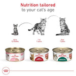 royal-canin-feline-health-nutrition-adult-instinctive-thin-slices-gravy-cat-food-pack-24