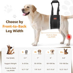 Adjustable dog lift harness for large dogs hind leg support with soft lift and rehab features