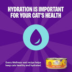 Wellness Complete Health Pate Adult Wet Cat Food, Chicken & Herring, 3 Ounce, Grain-Free, 24 Pack