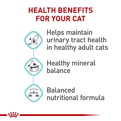 royal canin feline care urinary care adult dry cat food 6 lb bag balanced formula for healthy urine concentration