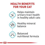 royal canin feline care urinary care adult dry cat food 6 lb bag balanced formula for healthy urine concentration