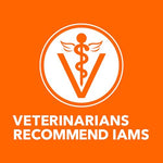 iams-proactive-health-adult-hairball-care-dry-cat-food-with-chicken-and-salmon-7-lb-bag