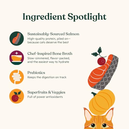 Made by Nacho Wet Cat Food, Cuts in Gravy, Sustainably-Caught Salmon with Bone Broth for Extra Hydration, (12) 3 oz. Pouches, Limited Ingredients
