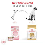 Royal Canin Feline Breed Nutrition Siamese Adult Dry Cat Food, 6 lb Bag