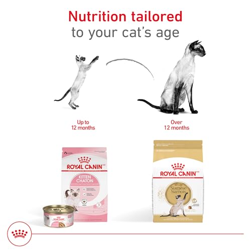 royal-canin-siamese-adult-cats-dry-food-6-lb-bag