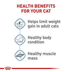 royal-canin-weight-care-adult-cat-food-6-lb-bag-feline-care-nutrition-weight-management