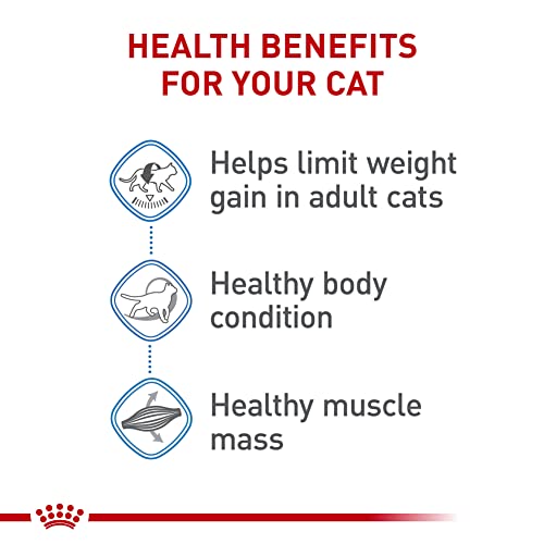 royal-canin-weight-care-adult-cat-food-6-lb-bag-feline-care-nutrition-weight-management