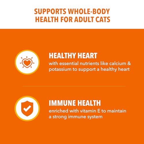 iams-proactive-health-chicken-adult-healthy-dry-cat-food-7-lb-bag