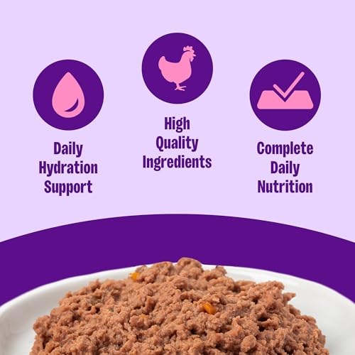 Wellness Complete Health Pate Adult Wet Cat Food, Chicken & Herring, 3 Ounce, Grain-Free, 24 Pack