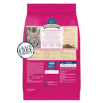 Blue Buffalo Wilderness Natural High Protein Grain Free Dry Cat Food for Adult Cats Salmon 11-lb Bag