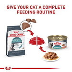 royal canin feline care hairball care adult dry cat food 6 lb bag for cats 1 year and older prone to hairballs