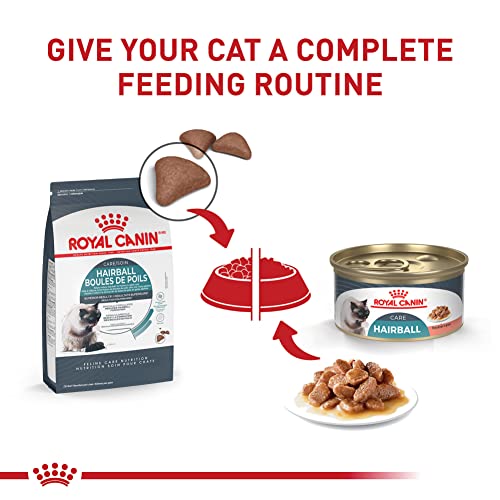 royal canin feline care hairball care adult dry cat food 6 lb bag for cats 1 year and older prone to hairballs