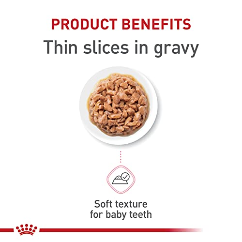 royal-canin-feline-health-nutrition-kitten-thin-slices-in-gravy-wet-cat-food-for-kittens-3oz-pack-of-12