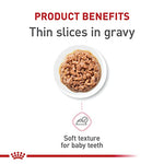 royal-canin-feline-health-nutrition-kitten-thin-slices-in-gravy-wet-cat-food-for-kittens-3oz-pack-of-12