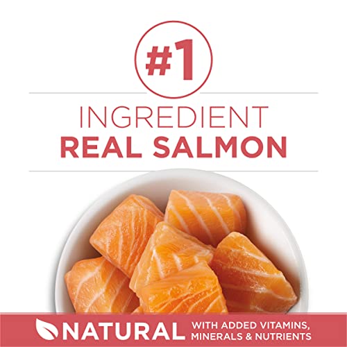 Purina ONE Natural Low Fat, Indoor Dry Weight Control High Protein Cat Food Plus Indoor Advantage With Real Salmon - 7 lb. Bag