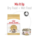 royal-canin-maine-coon-adult-dry-cat-food-6-lb-bag-formulated-for-purebred-maine-coon-cats