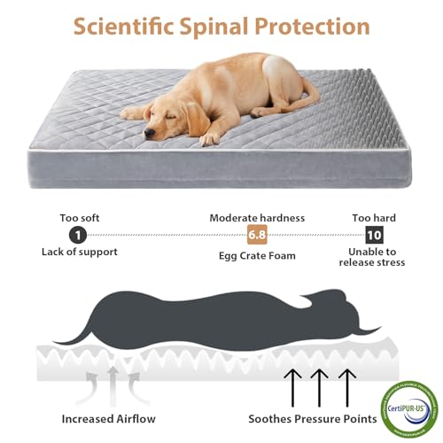 WNPETHOME orthopedic waterproof extra large dogs bed with removable washable cover and multi-needle quilting for large sized dog in light grey