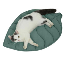 30 x 20 inch cotton leaf cat bed pad, warming mat for feral and indoor cats