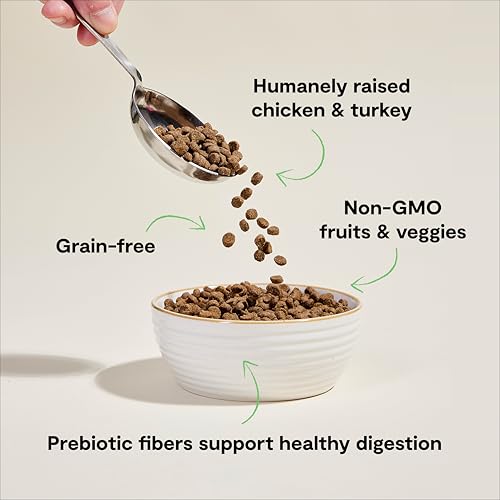 open-farm-homestead-turkey-chicken-grain-free-high-protein-kibble-complete-balanced-diet