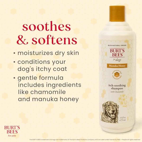 Burt's Bees for Pets Itch Relief Shampoo with Manuka Honey and Chamomile for Dogs, 16 Fl Oz