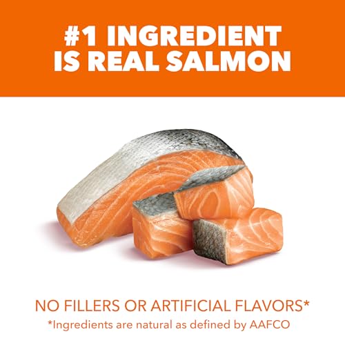 iams proactive health adult cat food with real salmon, 7lb bag for whole-body health