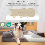 Grey Comfort Expression Orthopedic Dog Bed for Extra Large Dogs 42x30 Inch with Waterproof Bolsters