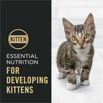 Purina Pro Plan Kitten Dry Food Chicken and Rice Formula Shredded Blend, High Protein, 6 lb Bag